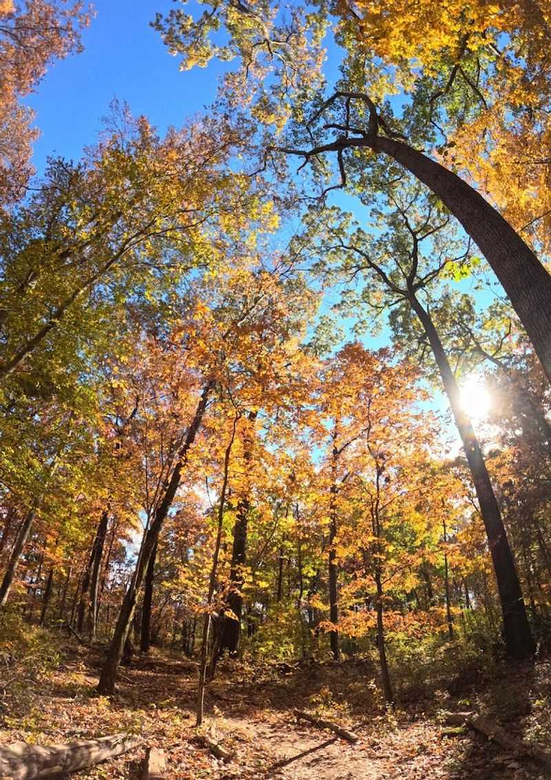 Seasonal Visits and the Best Times to Plan the Trip