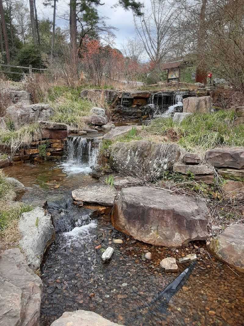 Planning Your Visit: Practical Tips and What to Expect