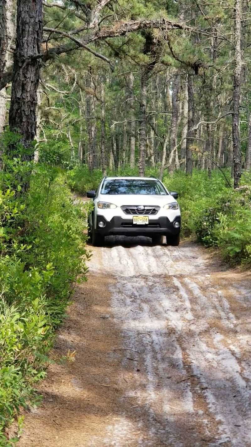 Planning a Visit and What to Bring