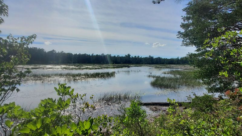 Paddling the Batsto River to Get There