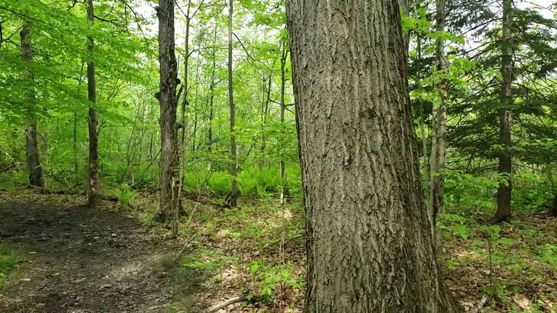 Camping Here Feels Like the Real Thing