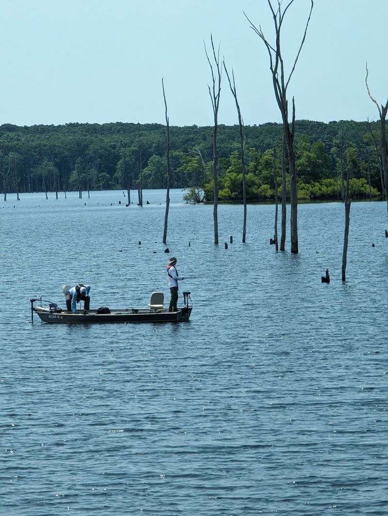 Fishing at the Reservoir: What to Know