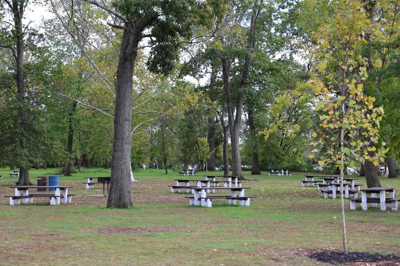 Picnics, Groves, and the Art of the Outdoor Gathering