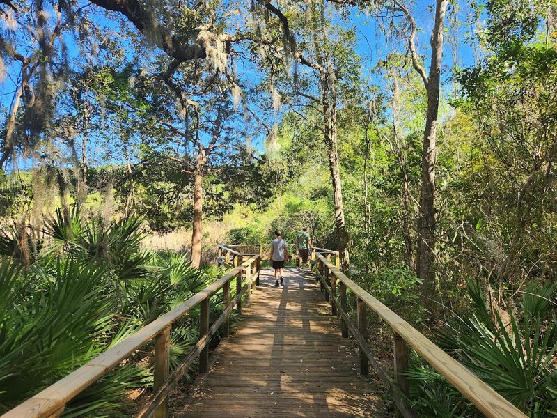 The Boardwalk and Observation Deck: A View Worth Earning