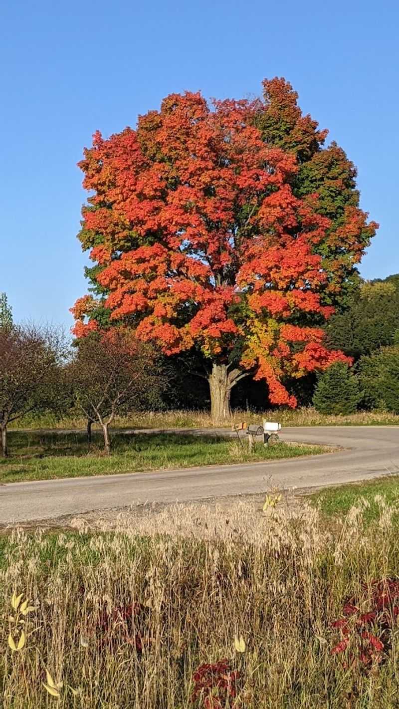Riding the Trail in Every Season: What Changes and What Stays Great
