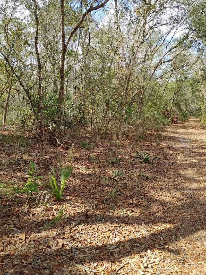 Tick and Insect Awareness on the Trail