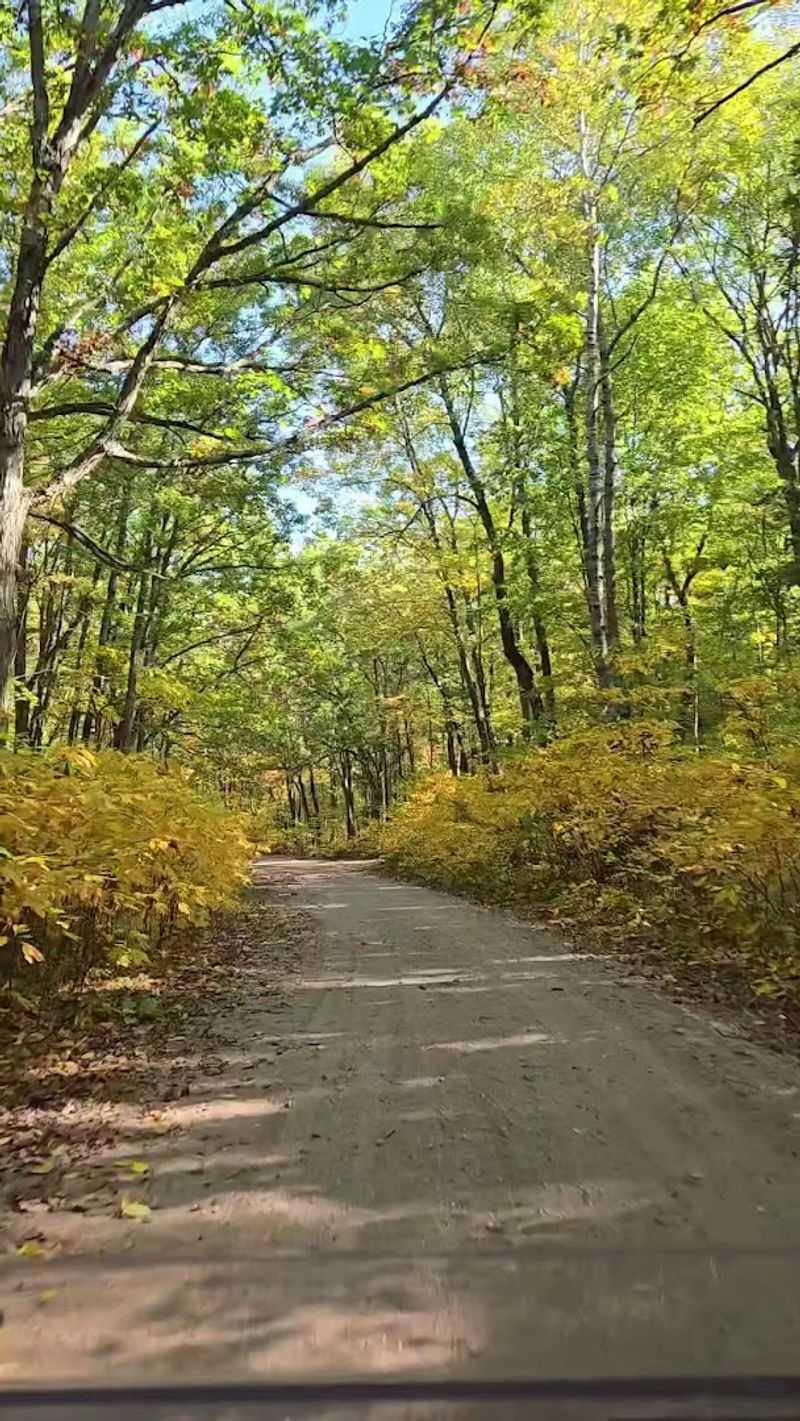 Practical Tips for Planning Your Visit