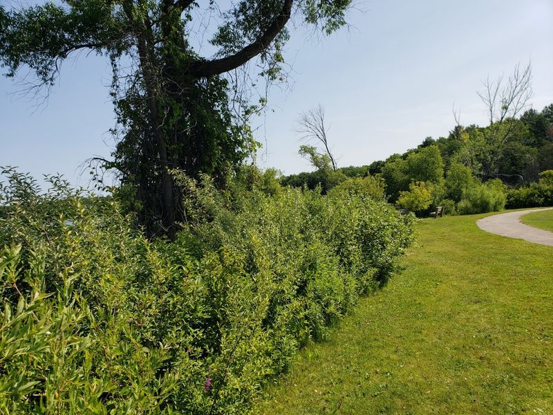 The Floral Blooms That Turn the Trail Into a Sensory Experience