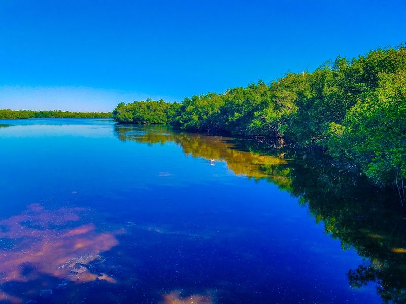 Kayaking and Paddleboarding Through Mangrove Tunnels