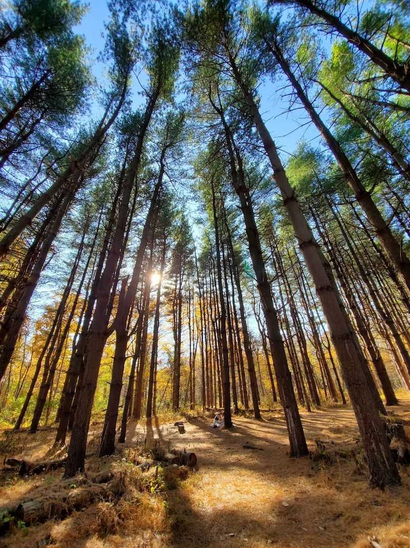 Photography Opportunities Across Every Section