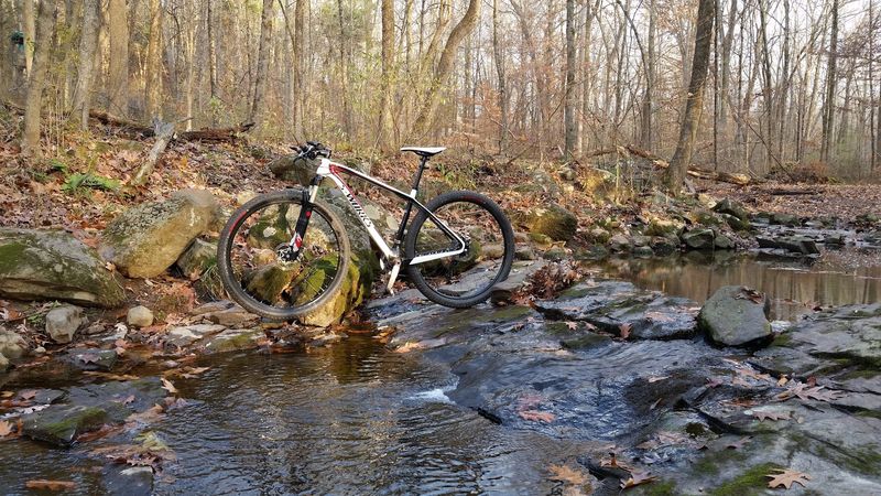 Mountain Biking and Horseback Riding Options