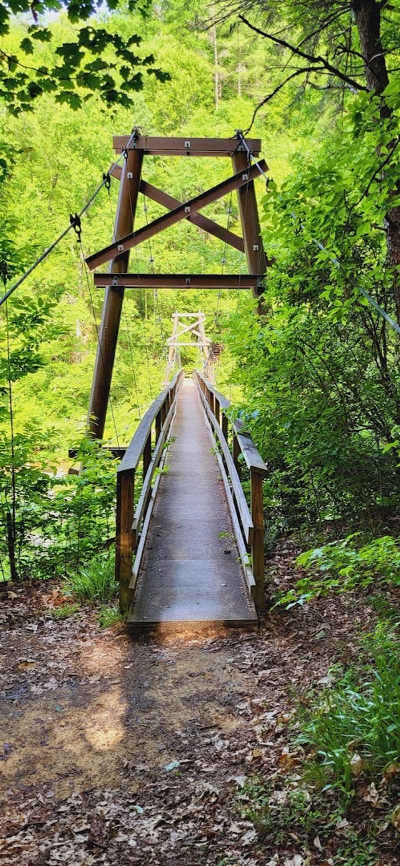 The Foothills Trail Access: A Gateway to Bigger Adventures