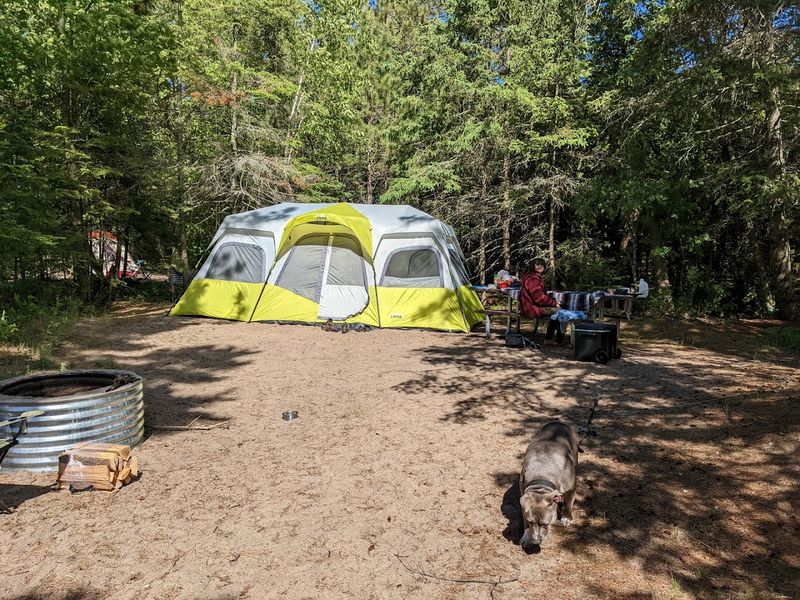 Facilities That Punch Above Their Weight