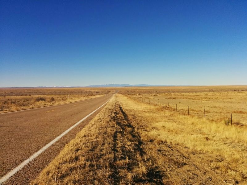 La Junta, Colorado - Tarantula Festival