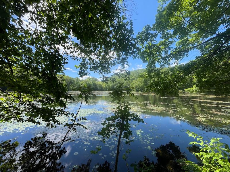 The Atmosphere That Sets It Apart