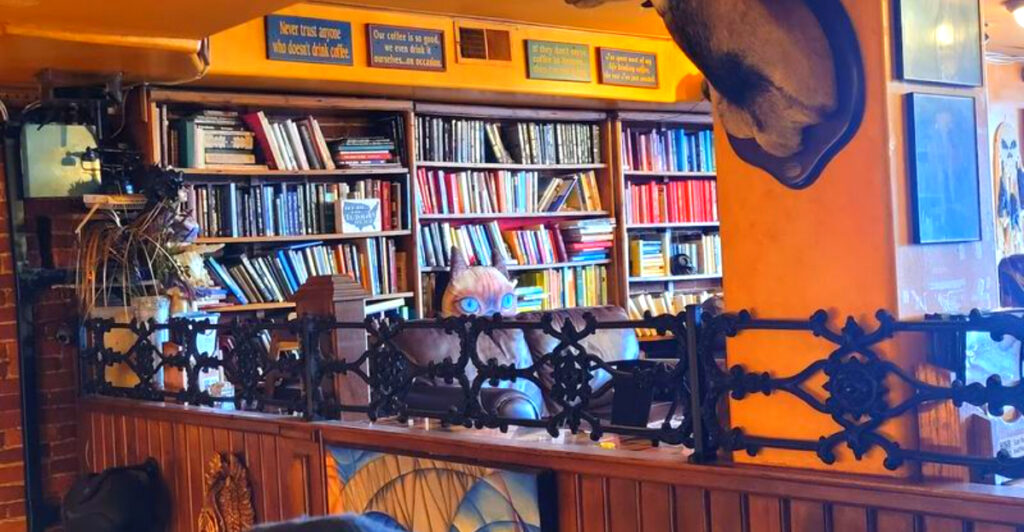 With Cozy Corners and Live Music Vibes, This Port Huron Café Feels Like a Hidden Hangout