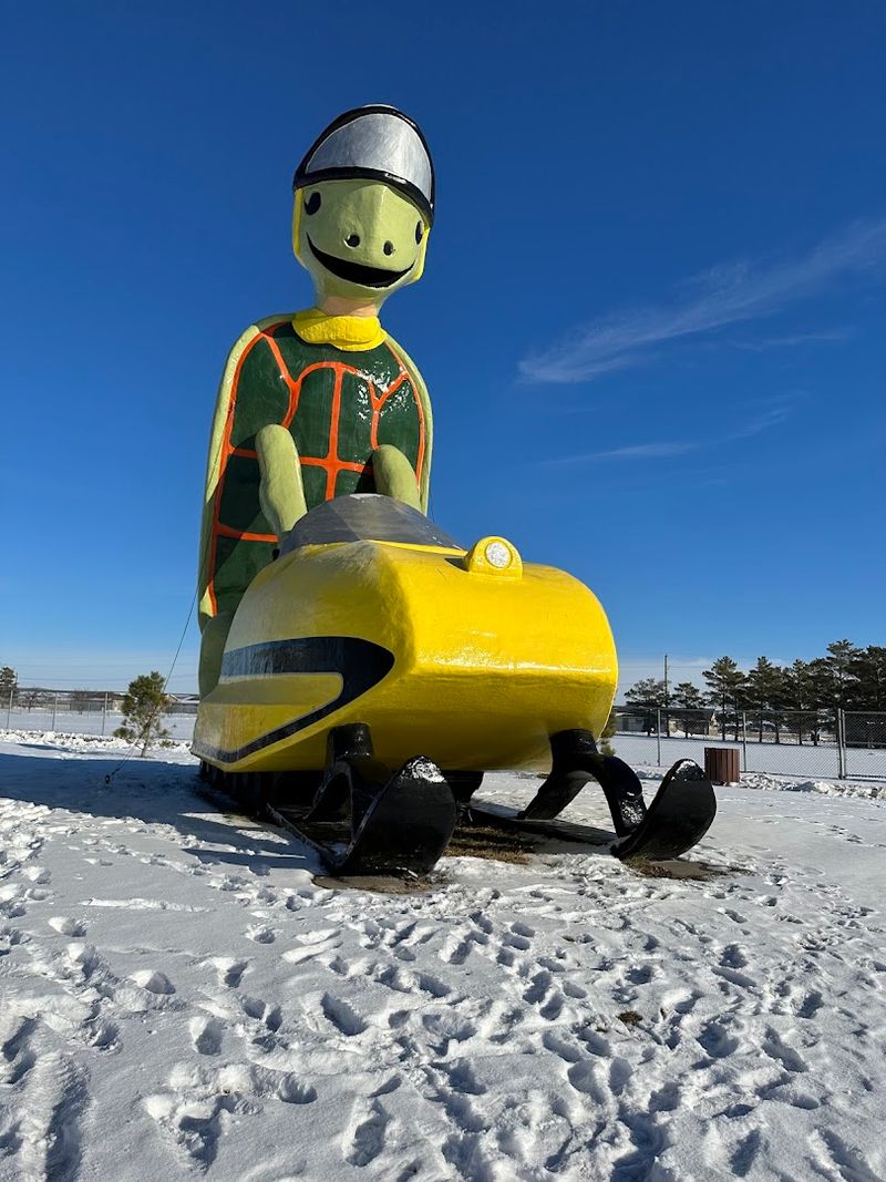 Tommy the Turtle — Bottineau