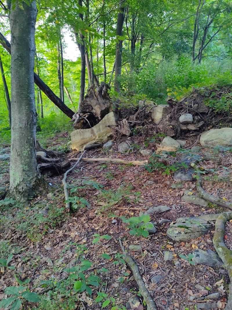 The NoBe Trail and Mountain Hike