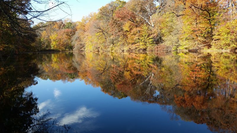 The River Views That Make the Walk Worth It