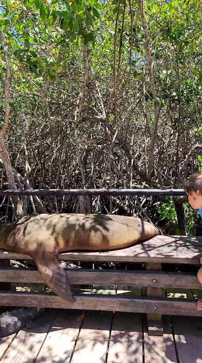 Galapagos Islands, Ecuador