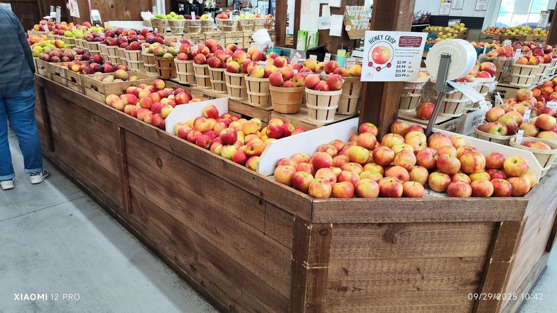 The Farm Market Inside the Barn