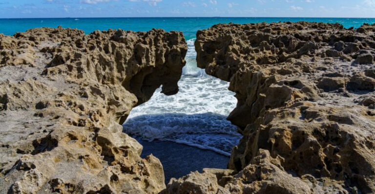 You Won’t Believe These 8 Stunning Tide Pools Are in Florida