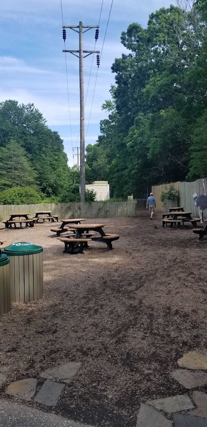 Benches, Shade, and Accessibility