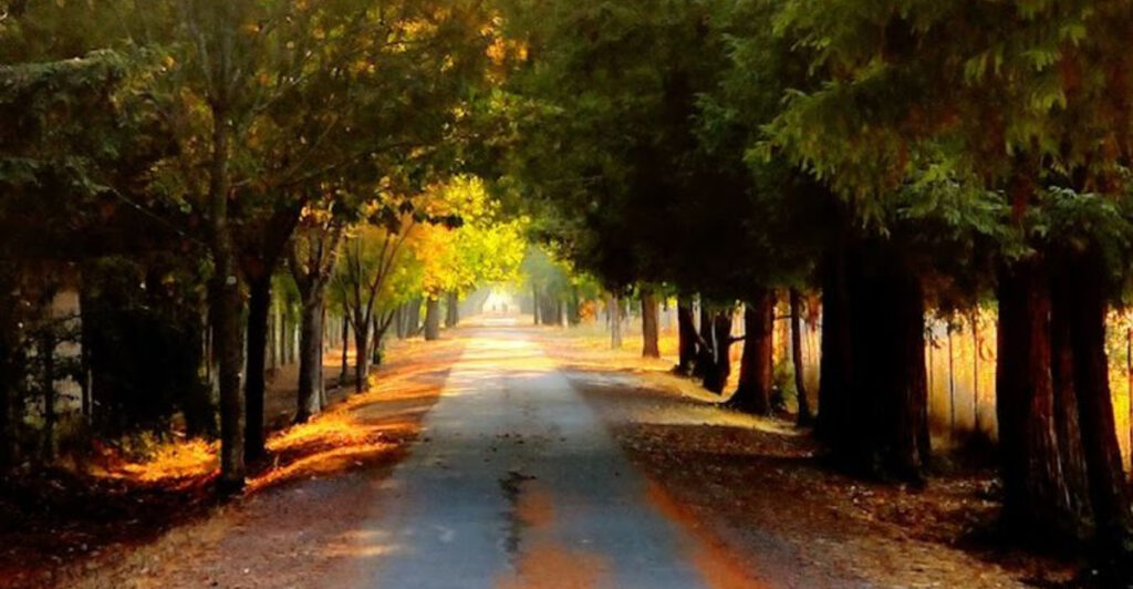 10 California Cycling Trails So Peaceful, They Feel Like a Private Getaway