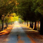 10 California Cycling Trails So Peaceful, They Feel Like a Private Getaway