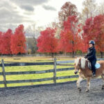11 Horseback Riding Spots In New Jersey For A Different Kind Of Day Trip