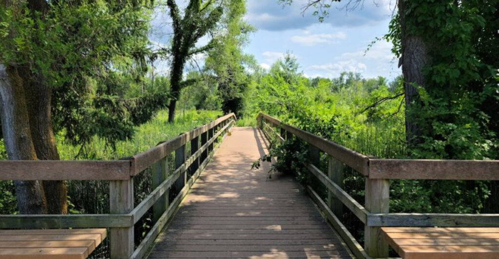 12 Beginner-Friendly Trails in Indiana With Beautiful Views