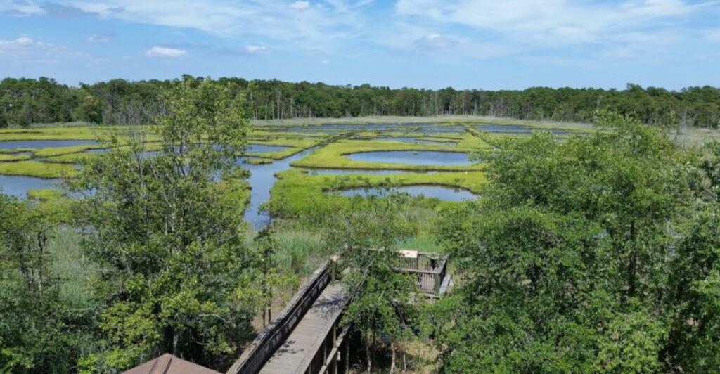 12 New Jersey Places That Feel Like Mini Vacations Without the Big Price Tag