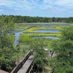 12 New Jersey Places That Feel Like Mini Vacations Without the Big Price Tag