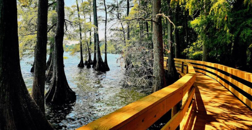 12 Tennessee Outdoor Escapes You Can Enjoy Without Spending More Than $20