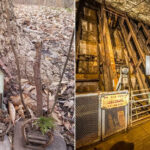 12 Weird, Wonderful, and Underrated Places To Visit In New Jersey