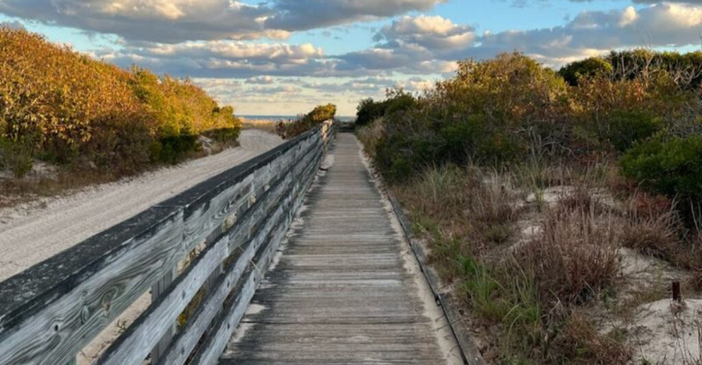 12 Wildlife Refuges and Nature Preserves in New Jersey for Birdwatching, Walks, and Fresh Air