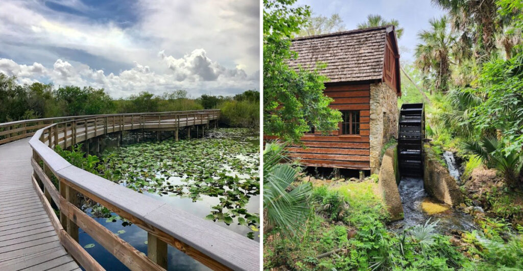13 Florida Nature Spots That Truly Shine During the Month of May