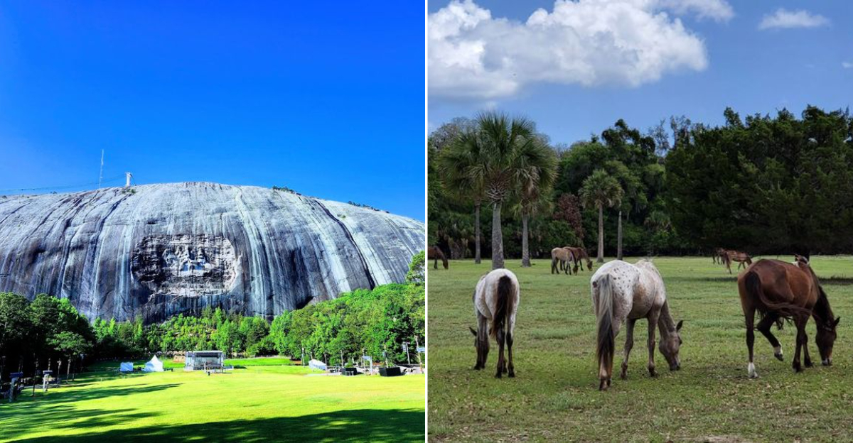 13 Georgia Adventures That Are Perfect for a Summer Escape