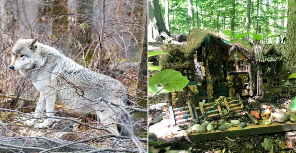 13 New Jersey Ideas For People Who Never Know What To Do On Saturday