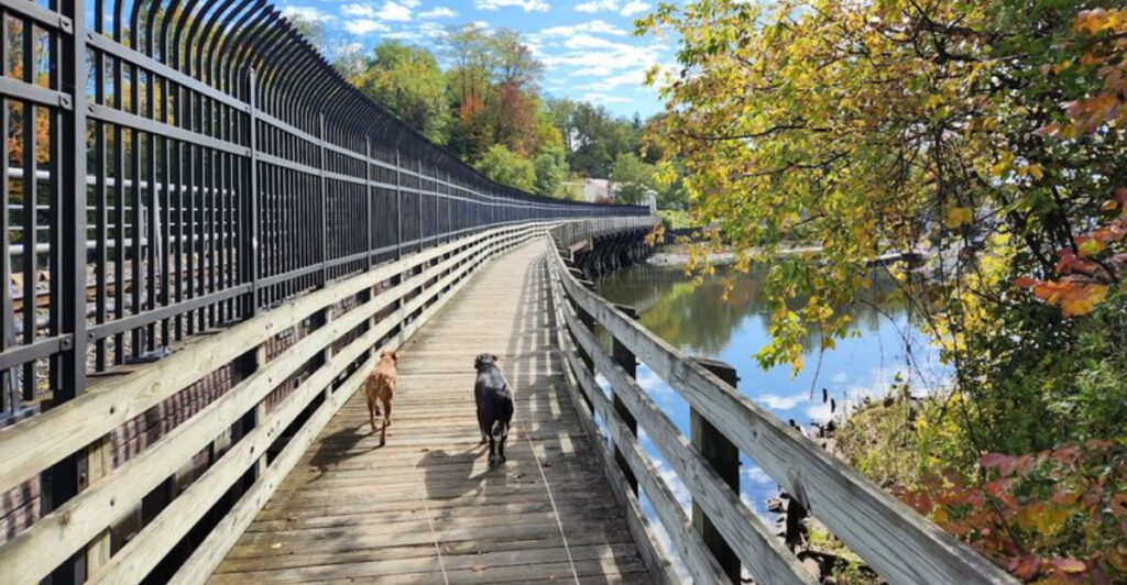 13 New Jersey River Walks That Are Perfect For A Slow Weekend