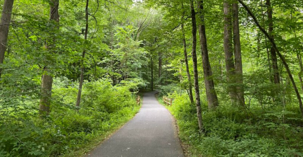 14 Quiet Forest Escapes In New Jersey For A Screen-Free Afternoon