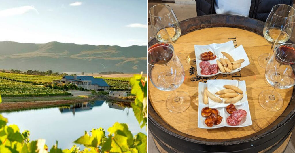 15 Countries With the Best Wines in the World