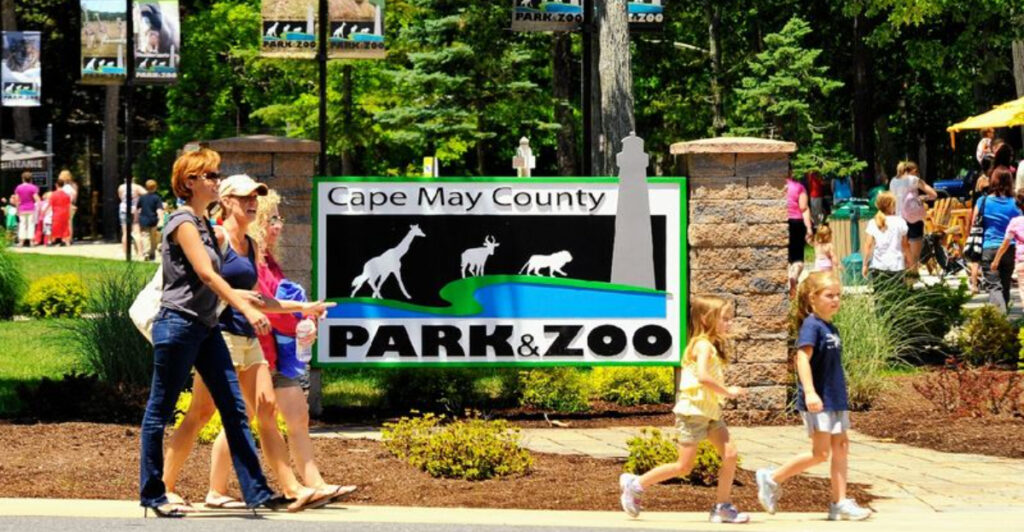 15 Free Things To Do In New Jersey That Feel Like A Real Day Out