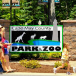 15 Free Things To Do In New Jersey That Feel Like A Real Day Out