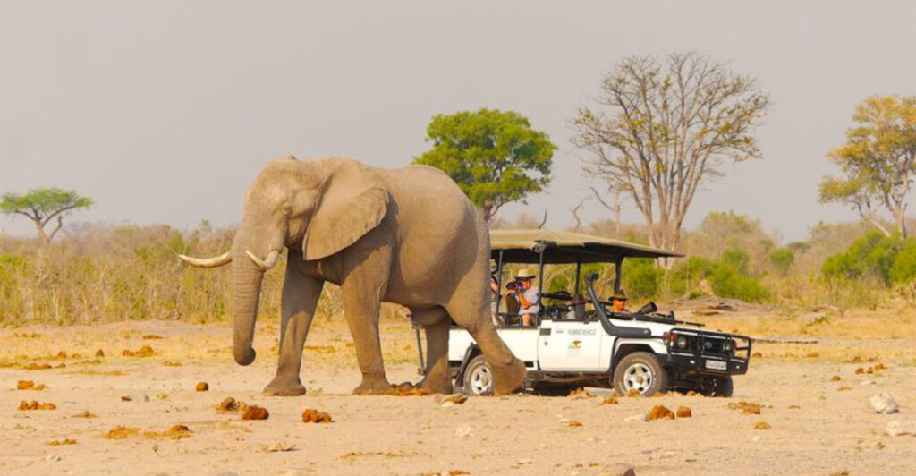 15 Incredible Places Poised to Be the Biggest Travel Hits of 2026