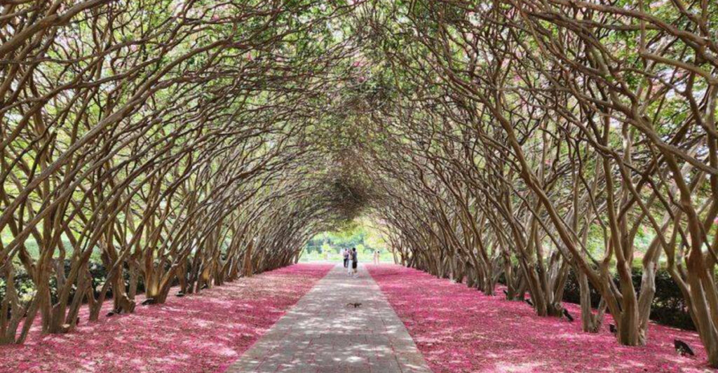 15 Must-See Botanic Gardens in the U.S. That Are Almost Too Beautiful to Be Real