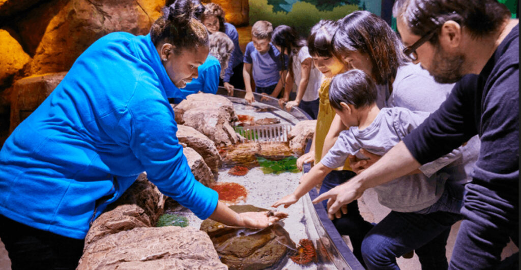 15 Science Attractions In New Jersey That Curious Minds Will Love