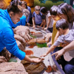 15 Science Attractions In New Jersey That Curious Minds Will Love