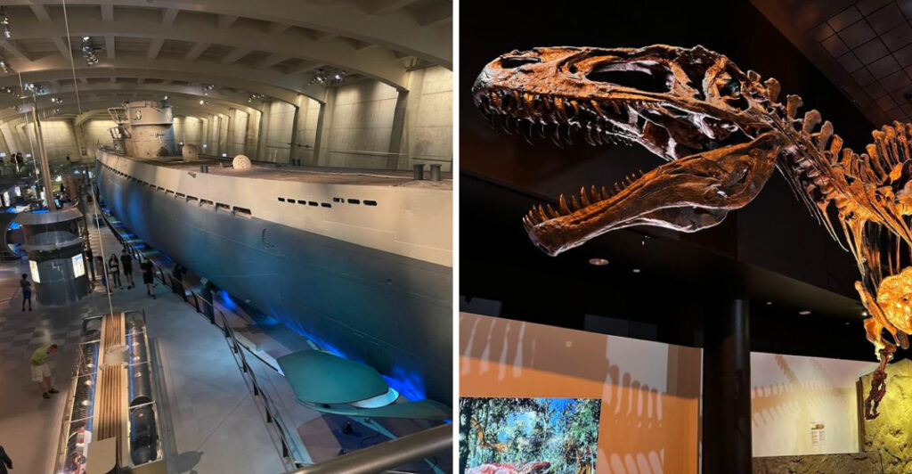 15 Top Museums in the U.S. Worth Visiting at Least Once