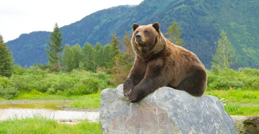 15 U.S. Wildlife Rescues That Let You Experience Animals Like Never Before